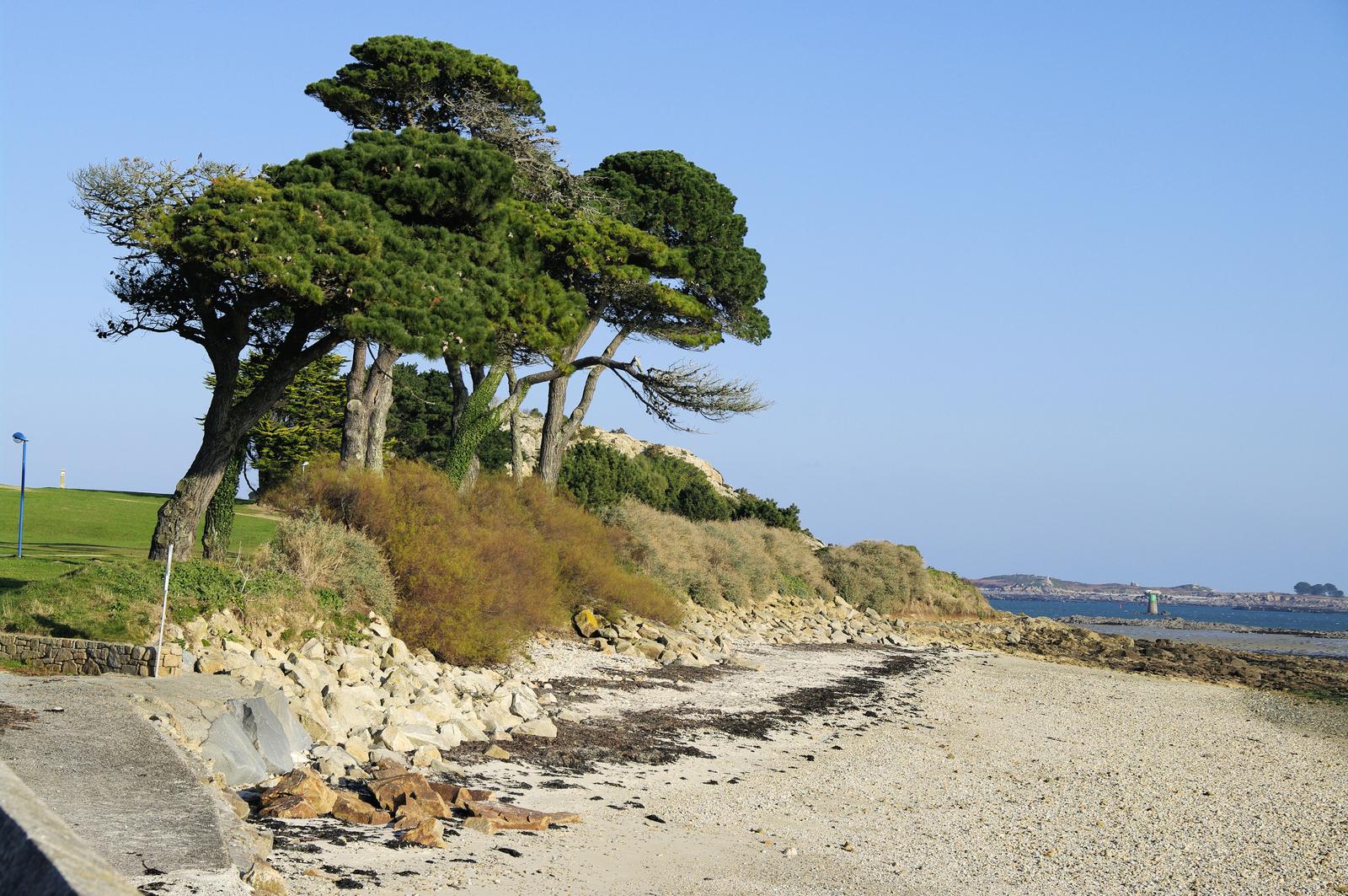 2148_Saint-Pol-de-Léon, plage 165_1600x1063.jpg