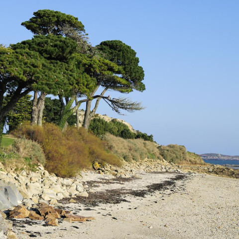 2148_Saint-Pol-de-Léon, plage 165_1600x1063.jpg