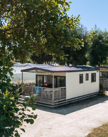 Sunêlia